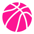 Ícone Basquetebol